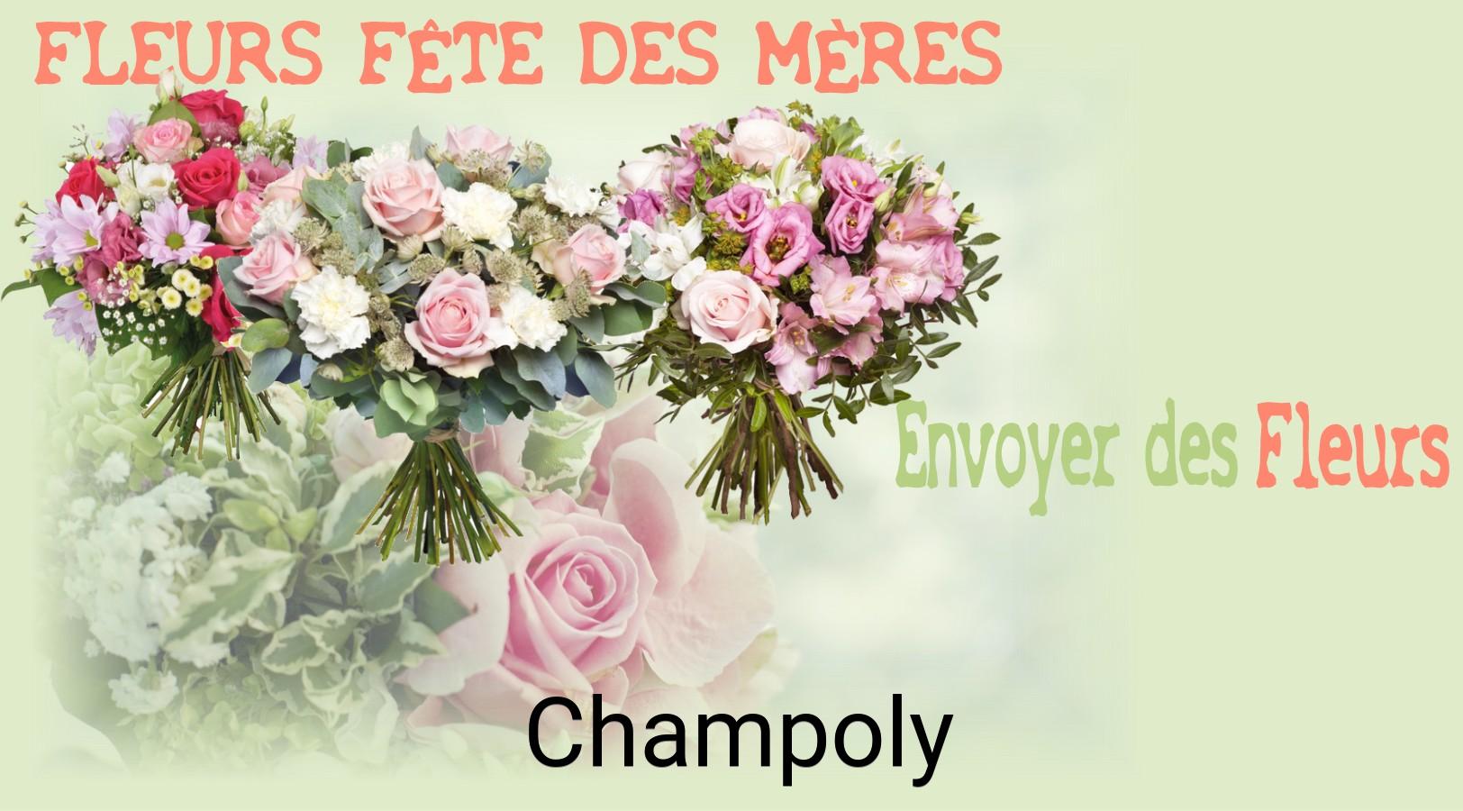 Bouquet de Fête des Mères livré à Champoly